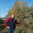 ���� ����, ����, 40 ��� - ��������� 12 ������� 2023 � ������ ���� ����������