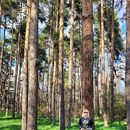 �����, ������, 55 ���