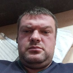 ����, ������, 41 ���