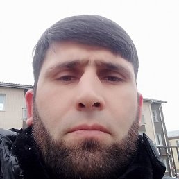 ������, ������, 41 ���