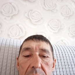 , 52 , 