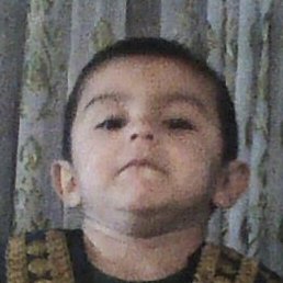 �����, ������, 49 ���