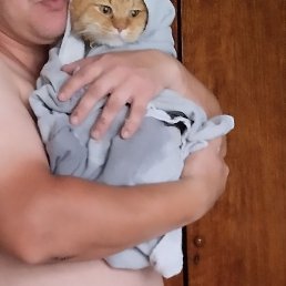 ����, �����, 36 ���