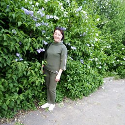 �����, ������, 45 ���