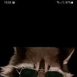 ���� Vas, ����������, 41 ��� - ��������� 8 ������� 2023