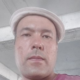 ������, ������, 37 ���