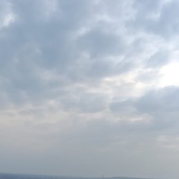 ���� ���������, ������, 43 ���� - ��������� 31 ������� 2023