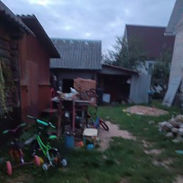 ˸��, �����, 20 ���