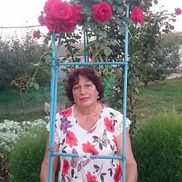 �����, ������, 69 ���