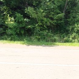 Ilyos, ������, 29 ���