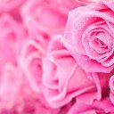 ���� ������, ������, 37 ��� - ��������� 10 ���� 2023 � ������ ���� ����������