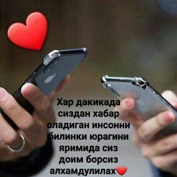 ���������, �����, 37 ���