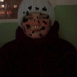 ������, ������, 81 ���