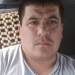 �����, �������, 52 ����