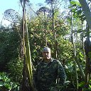 ���� ���������, �����, 49 ��� - ��������� 21 ���� 2023 � ������ ���� ����������