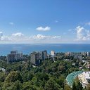 ���� ��������, ������, 50 ��� - ��������� 28 �������� 2023 � ������ ���� ����������