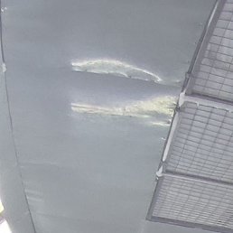 ���, ������, 39 ���