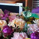 ���� �����, �����, 36 ��� - ��������� 15 ���� 2023 � ������ ���� ����������