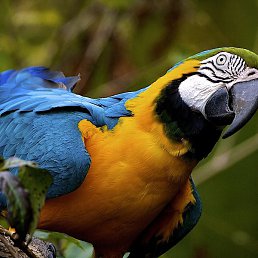 ������, �������, 27 ���