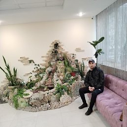 ��������, �����������, 41 ���