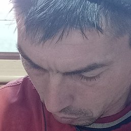 ����, ������������, 50 ���