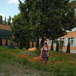 ���� ����, �����, 37 ��� - ��������� 10 ���� 2023