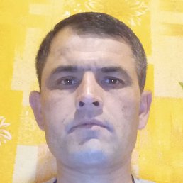 ���� ���, ������, 38 ���