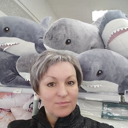 ���� �������, �������, 50 ��� - ��������� 5 ��� 2023