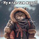 ���� ����, �������, 63 ���� - ��������� 4 ����� 2023