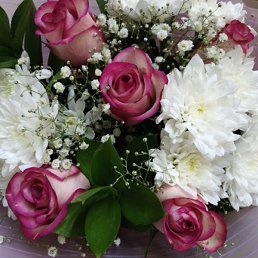 ��������, ���, 59 ���