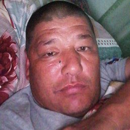 �����, �����, 46 ���