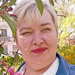 �����, �������, 49 ���