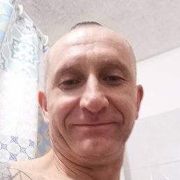 ����, �����-���������, 48 ���