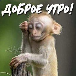 ���� ����, ������, 31 ��� - ��������� 24 ���� 2023