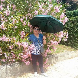 ���, ���������, 37 ���