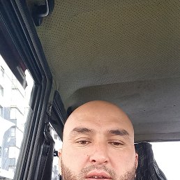 ���� �����, ������, 43 ���� - ��������� 3 �������� 2023