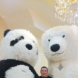 ������, ������, 37 ���