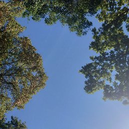 Ksu, �����-���������, 42 ����