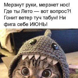 ���� ����, �������, 21 ��� - ��������� 2 �������� 2023