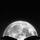 ���� ���, �����, 46 ��� - ��������� 18 ��� 2023 � ������ ���� ����������