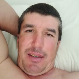����, �������, 41 ���