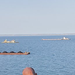 ���� ������, ���������, 44 ���� - ��������� 20 �������� 2023