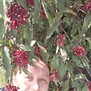 ���� �������, ������, 52 ���� - ��������� 5 ������� 2023