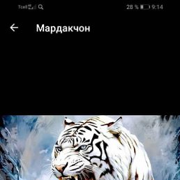 ���� �����, ���������, 46 ��� - ��������� 2 ������� 2023