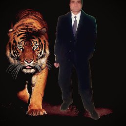 �������, ����������, 54 ����