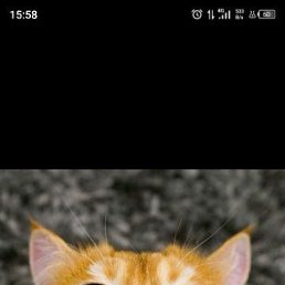 ���� ������, ������, 49 ��� - ��������� 27 ��� 2023