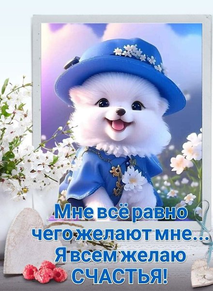 **********************¤ ¤ ¤***********************