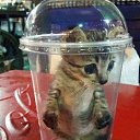 ���� ����, ������, 21 ��� - ��������� 11 ������� 2023 � ������ ���� ����������