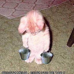 ����, ������, 53 ����