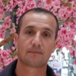 ������, ������, 36 ���